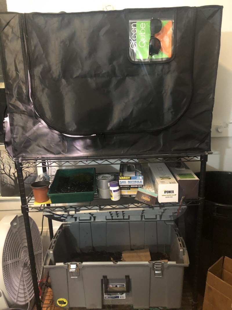 BCBAB14C-6E2B-41DA-B057-256635AE43D2