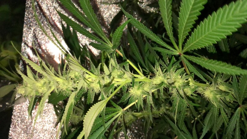 13F88950-9BEE-48E4-AC56-145DF1651647