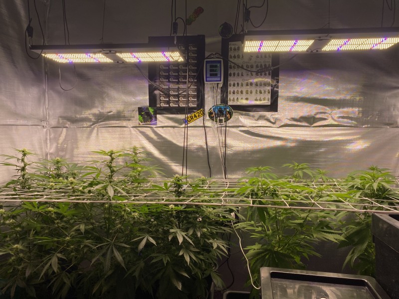 66D040DA-9B07-433B-81D5-54F792972A86