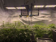 66D040DA-9B07-433B-81D5-54F792972A86