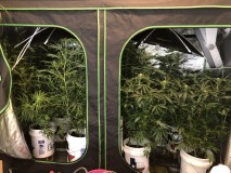 55A58441-BF85-42B5-A345-8C9FE9A8D2FD