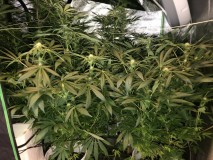 30EBEF3F-8F13-4A57-BD56-C74736FCCE09