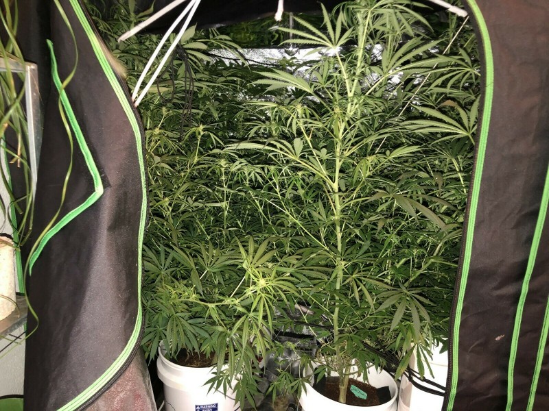 B857FDB4-79DE-4554-8228-9B8E45974EB8