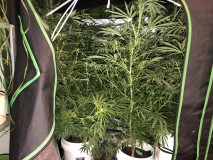 B857FDB4-79DE-4554-8228-9B8E45974EB8