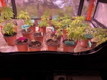 4C65C678-6892-408B-BDA3-C500672F8519