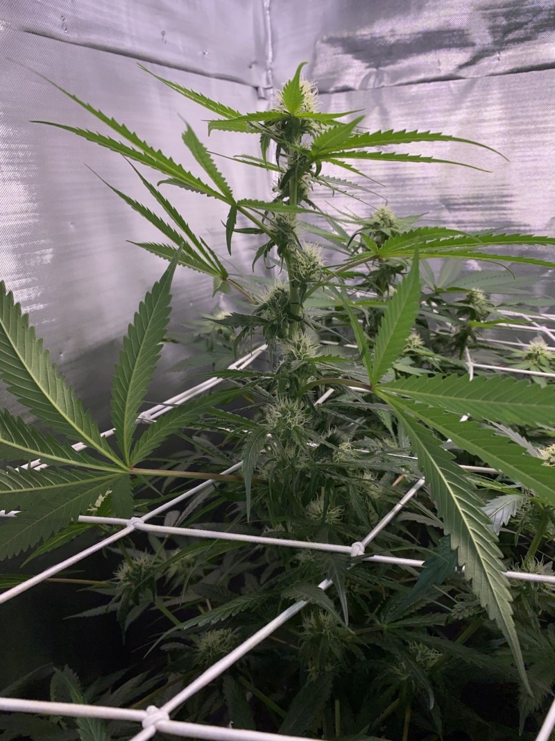 B115E1BE-41C3-4A38-8E8E-C49A029D2CA7