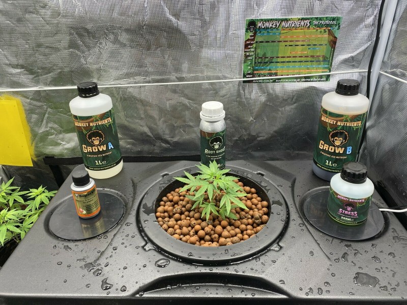 A4FC2ECF-5AB1-414D-B8BA-E663EF251FF8