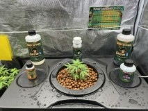 A4FC2ECF-5AB1-414D-B8BA-E663EF251FF8