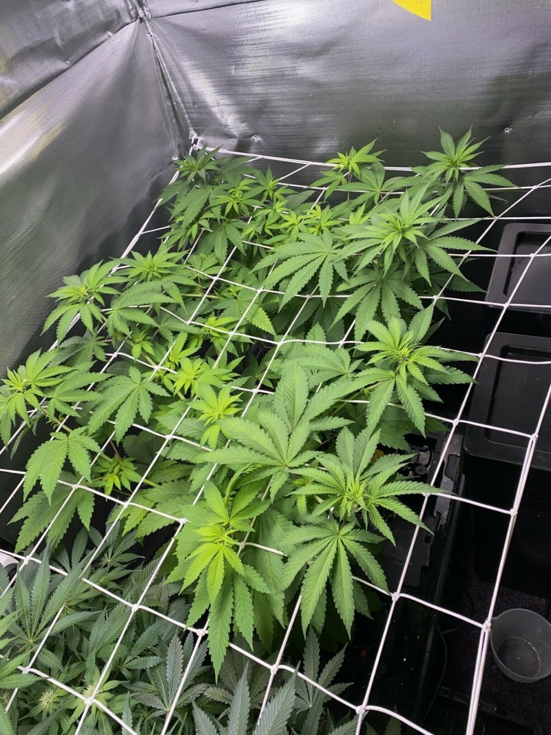 FD8387E9-8A22-4256-AC40-3AC950707E3A