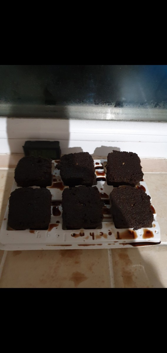 Screenshot_20201112-202237_Gallery