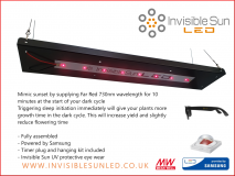 1600080646516_ISHFR8FixtureADVERT_1296x