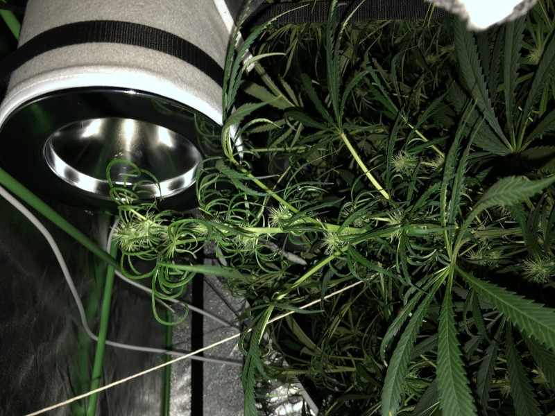 F9F160F4-8534-4B05-A6C1-E9F2B8A371CC