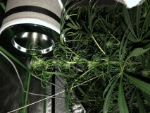 F9F160F4-8534-4B05-A6C1-E9F2B8A371CC