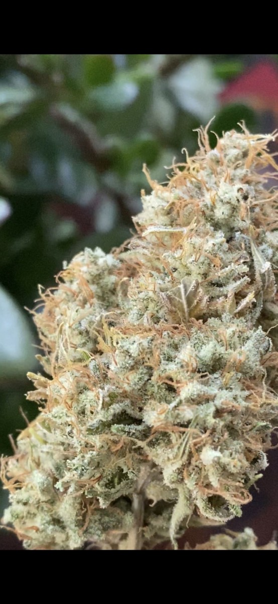 29D7B617-3B2D-4A3B-9B88-CF3EA956C9D5