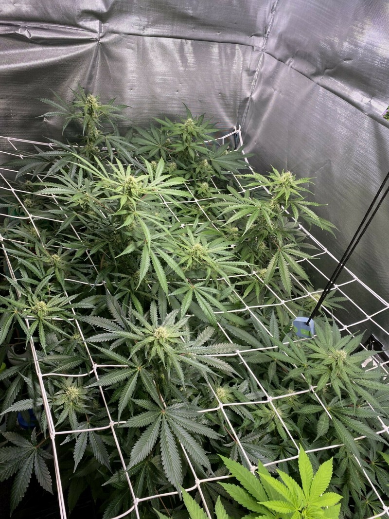 131FE53A-2F45-418D-B97C-93A531D1451E