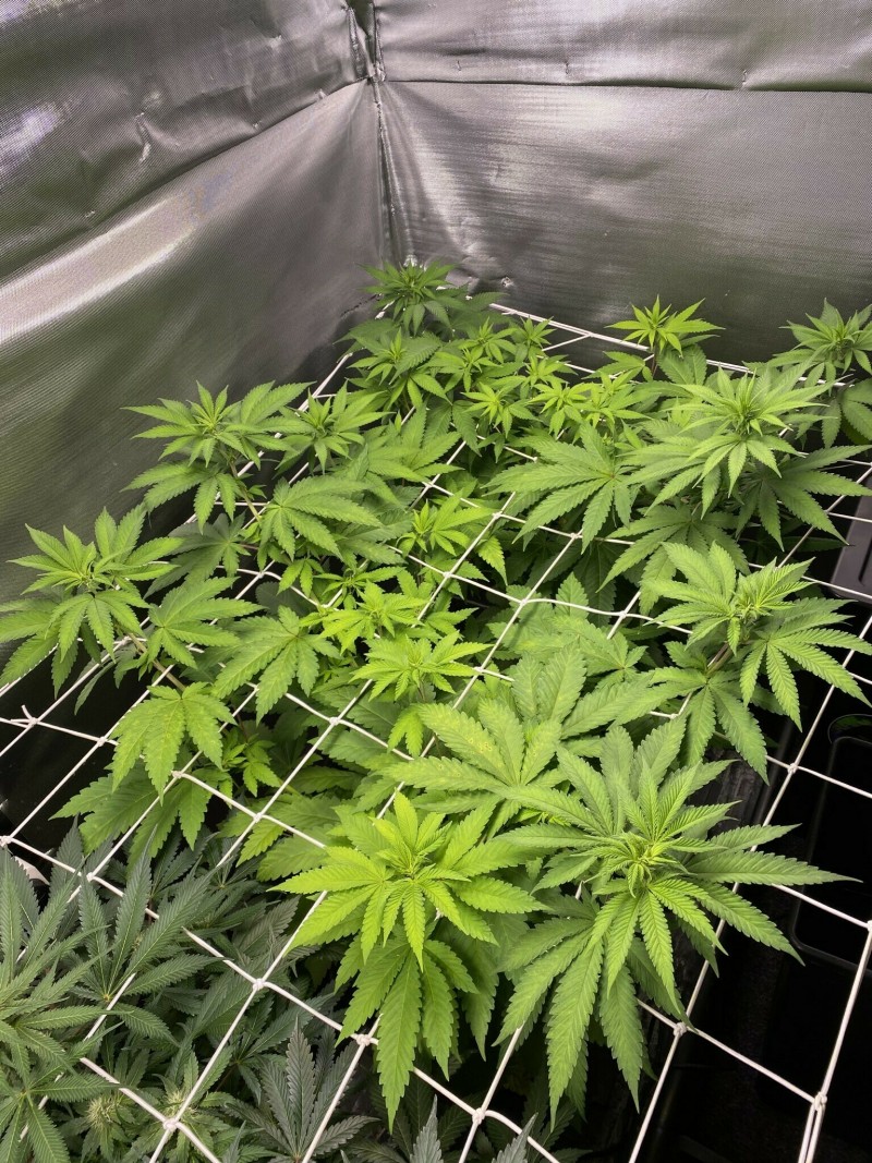 14366561-4AD9-4810-A506-AF6A34448496