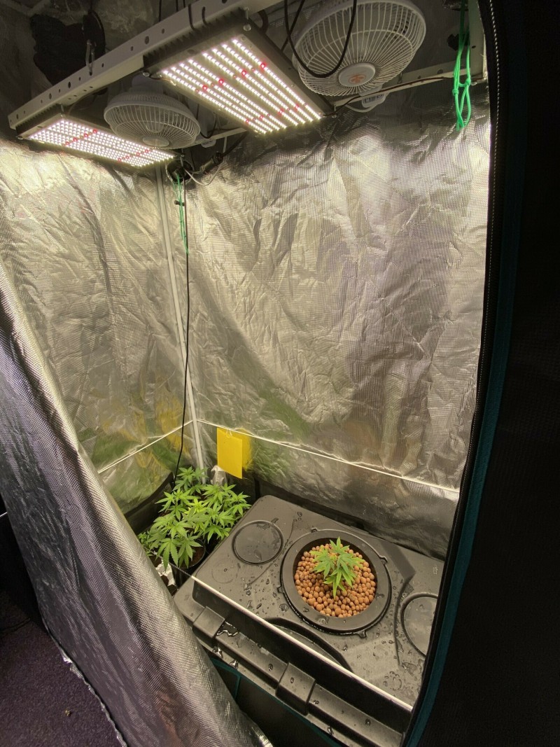 ECA8843E-99FF-448B-9152-C1D0FCCB4800