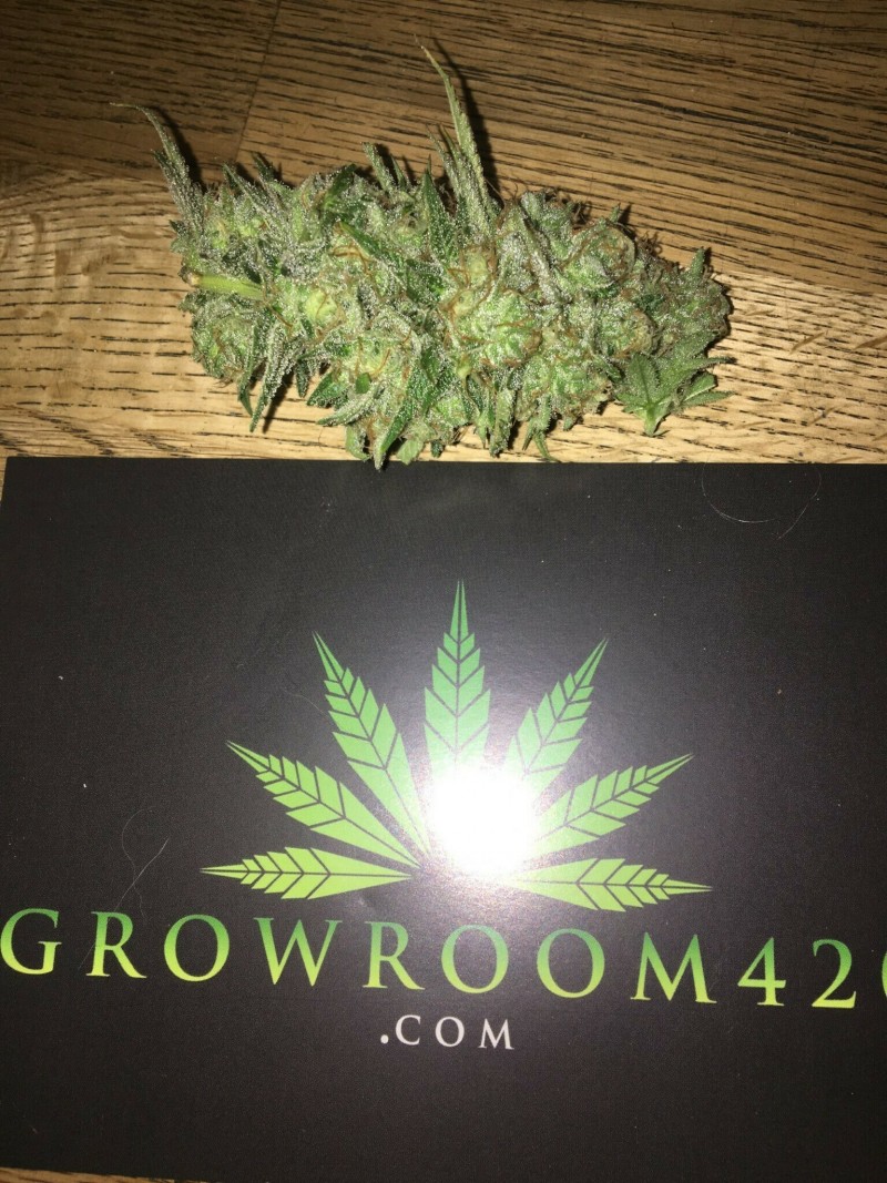 FD52CDDA-102D-44E7-855A-E1AD75DBFCEE