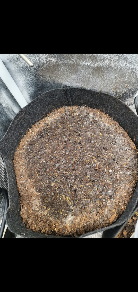 Screenshot_20201118-203514_Gallery