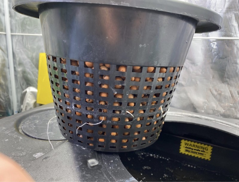 D39CB9E1-5A9E-49AD-A566-D99E92E8DFC6