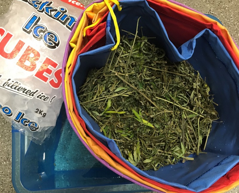 F742FF50-AF5E-425F-9A1E-26757B84E8B3