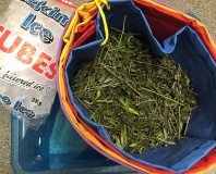 F742FF50-AF5E-425F-9A1E-26757B84E8B3