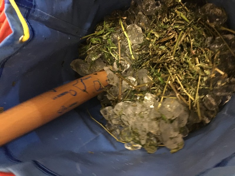 3D2406CF-6926-4E48-ACE2-BCEAD1EF0AD6