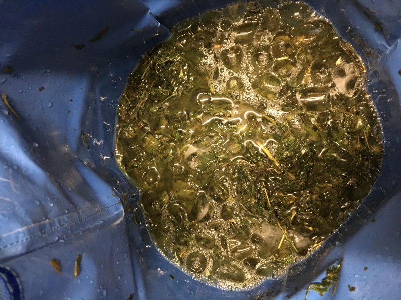 F2F71E93-3B58-42AD-A4C6-F268084A70CF