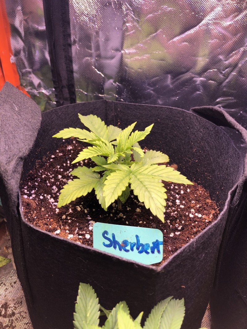 1CCFB9BD-E929-49B5-A500-7B7725940D6B