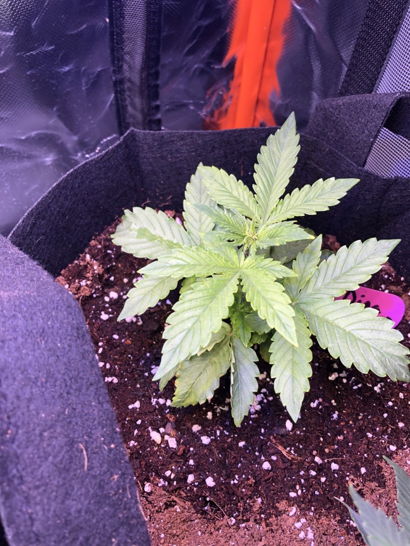 A48F5115-E16C-4153-99B2-4C75D2029B4B