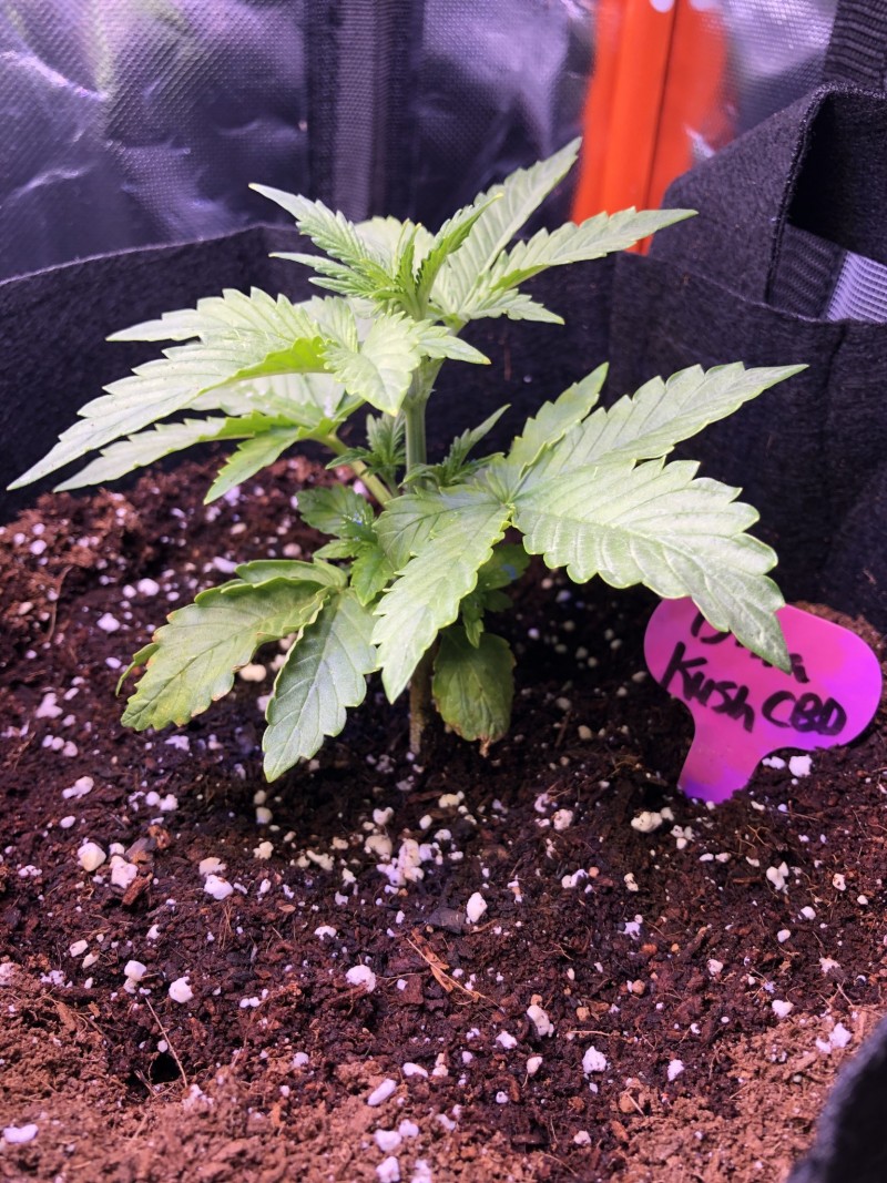 09B567D4-DA8F-45F8-B9A2-F4C2AC62719C