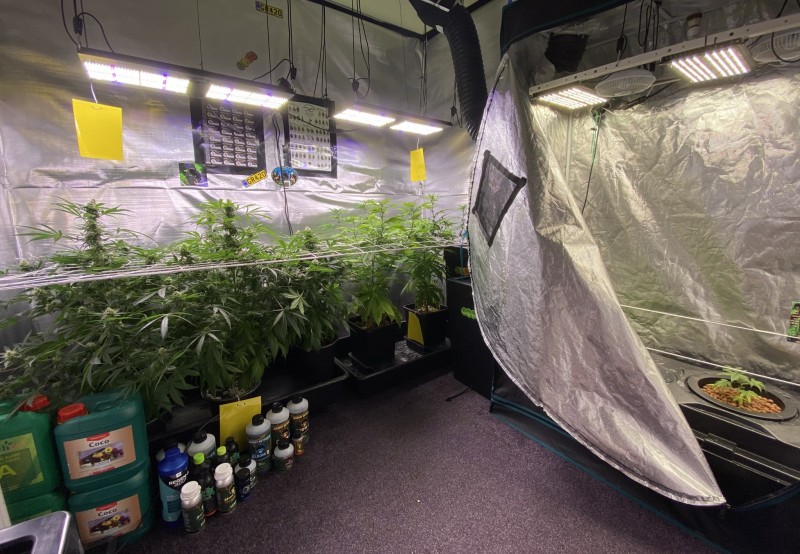 11291415-FB17-4B2B-8F22-5B751D3DA036