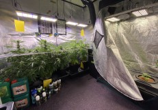 11291415-FB17-4B2B-8F22-5B751D3DA036