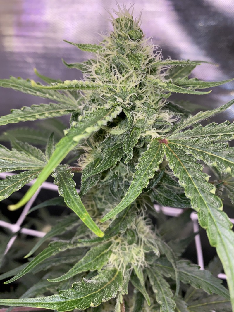 6675AD17-8C9B-48F5-8B5D-23EEB484CF01