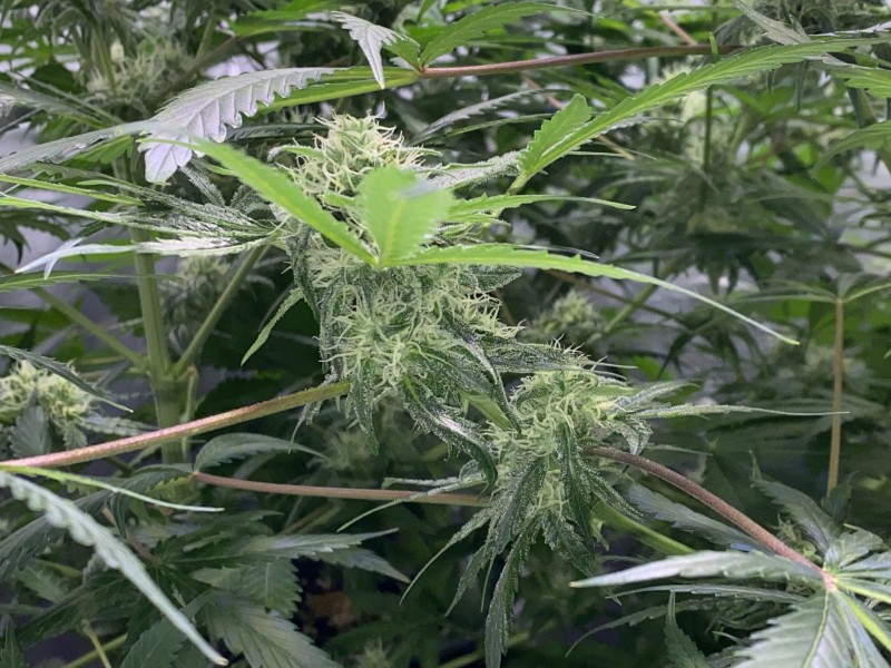 458A20E2-B944-4FD6-8199-15CFAFAEF4FE