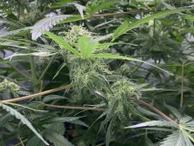 458A20E2-B944-4FD6-8199-15CFAFAEF4FE