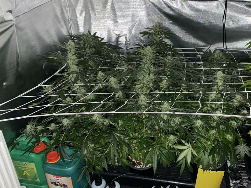 834636FB-54D4-4FA8-B342-1000E5B2DE2D