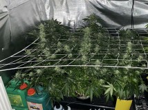 834636FB-54D4-4FA8-B342-1000E5B2DE2D