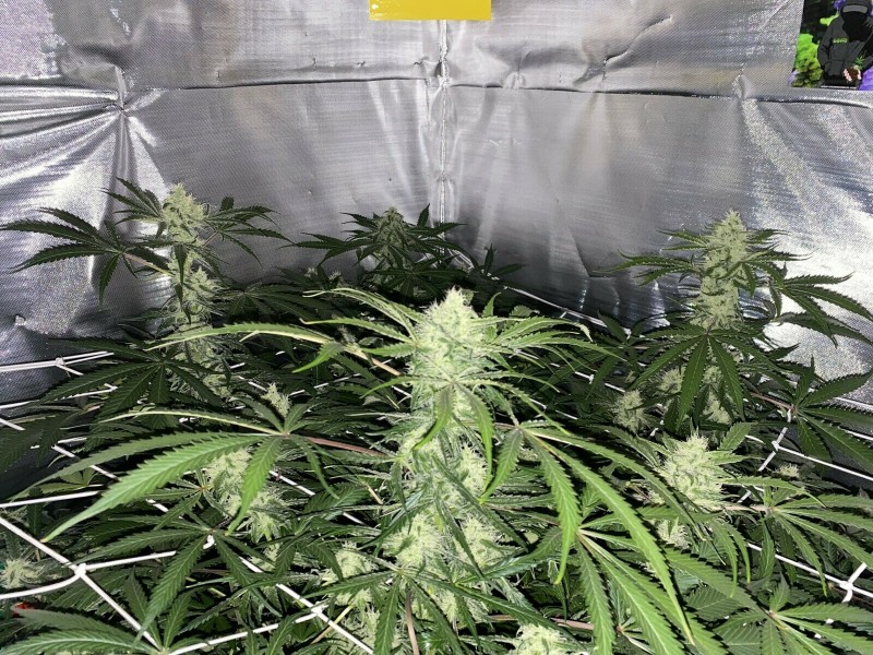 46F8F1A3-0AC5-44D0-830A-636FA71ADBFB