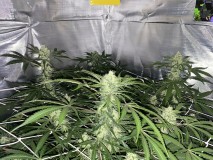 46F8F1A3-0AC5-44D0-830A-636FA71ADBFB