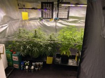 7C4F747F-5ACB-429B-8E73-7C3240141C51