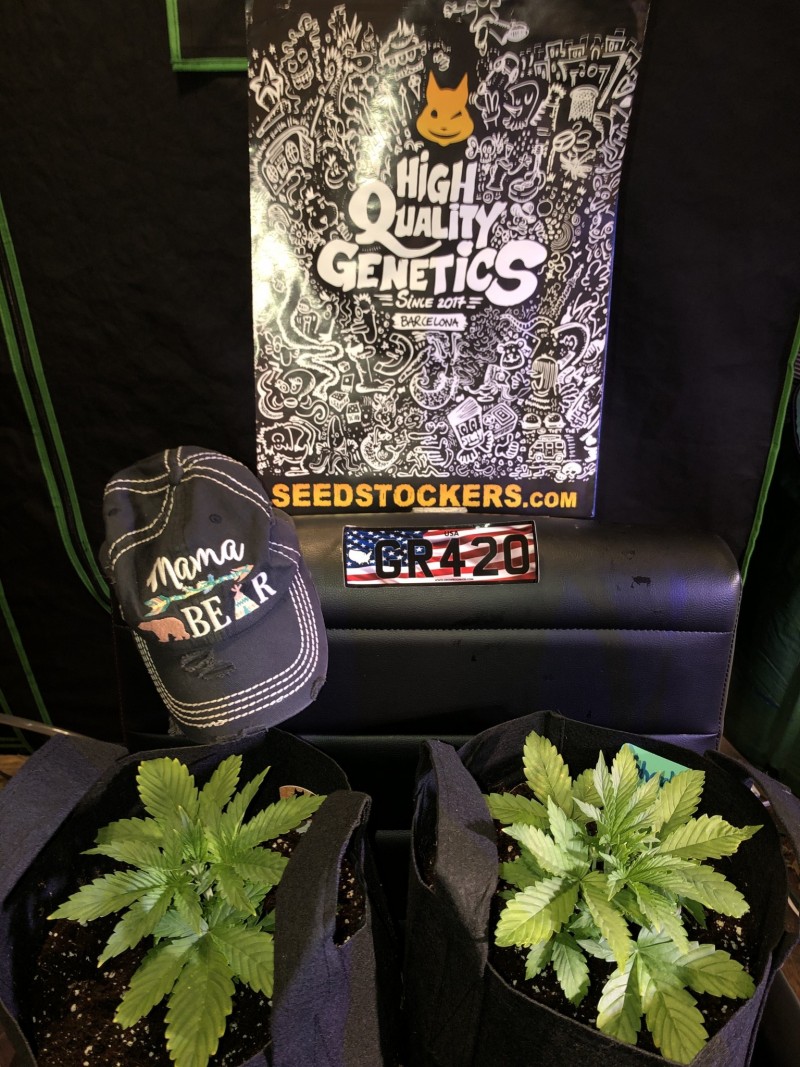 F596B385-EB8D-4092-9303-E47182B06D64