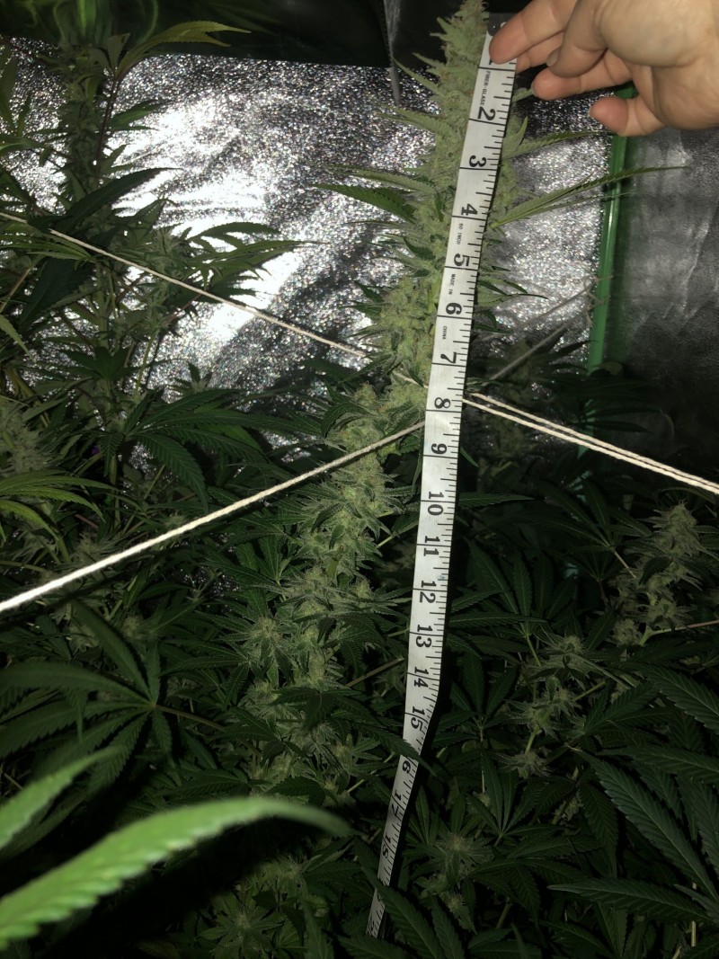 53B7B134-D163-4DDC-BC3C-32DAC59A50EB