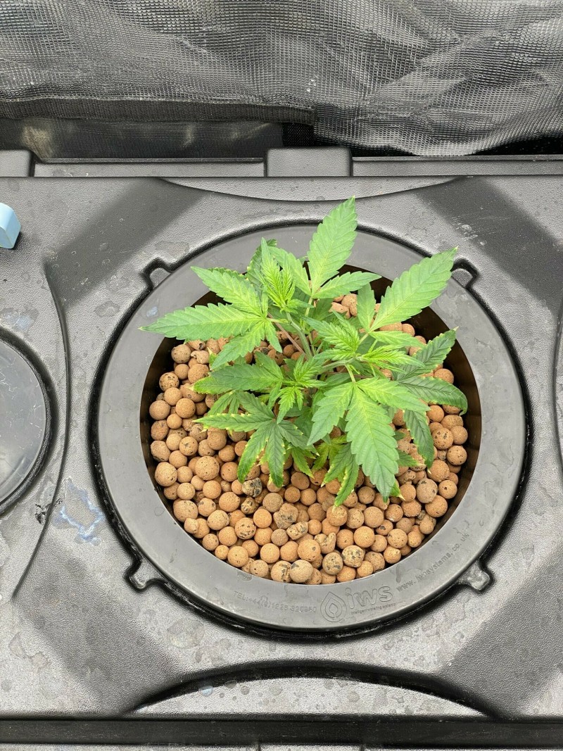 48880012-3877-4561-AD56-230C21E989F2