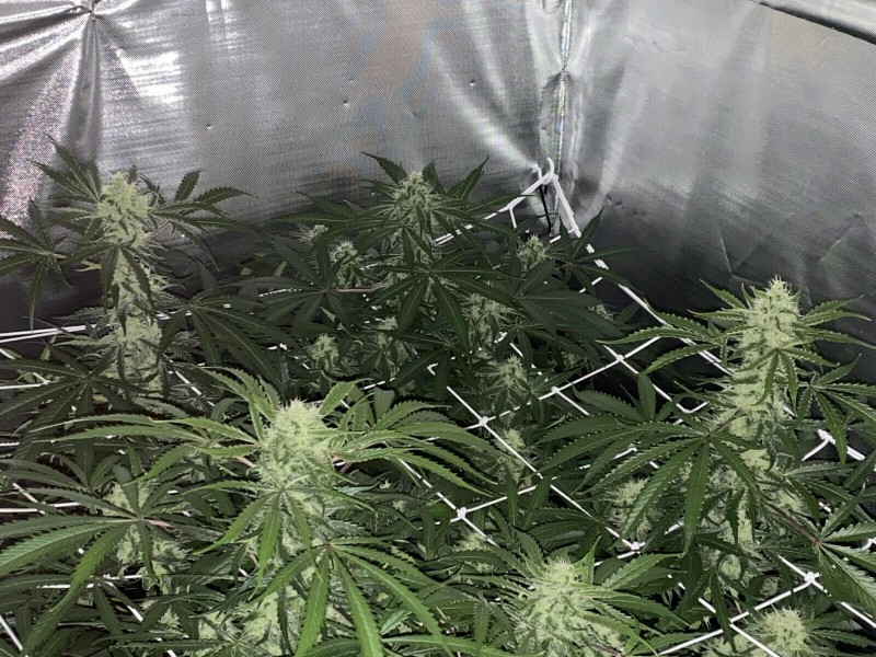 4ED5CA0A-3450-4473-9184-334DAF4B9563