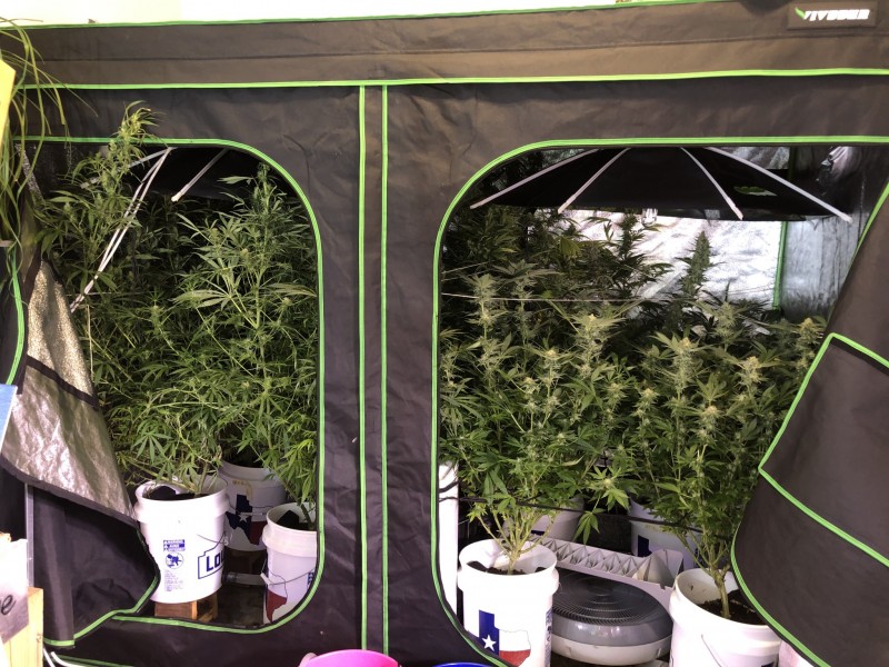 29A2FE84-8192-4936-9E7F-24727732123C