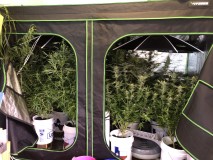 29A2FE84-8192-4936-9E7F-24727732123C