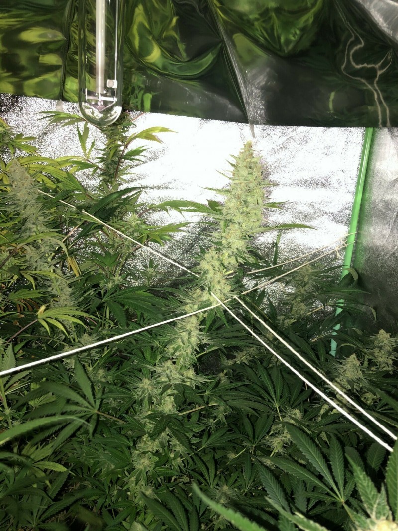 9484C8E1-0CA9-462C-A935-94C18D68A5A8