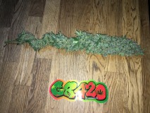 1773762D-9116-4F9F-9BAE-1590E70CE649