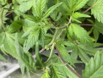 26D7ECC0-12A8-459E-9B8A-59C050A360BC